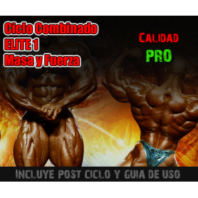 Ciclo Combinado ELITE 1 Masa y Fuerza. PRO